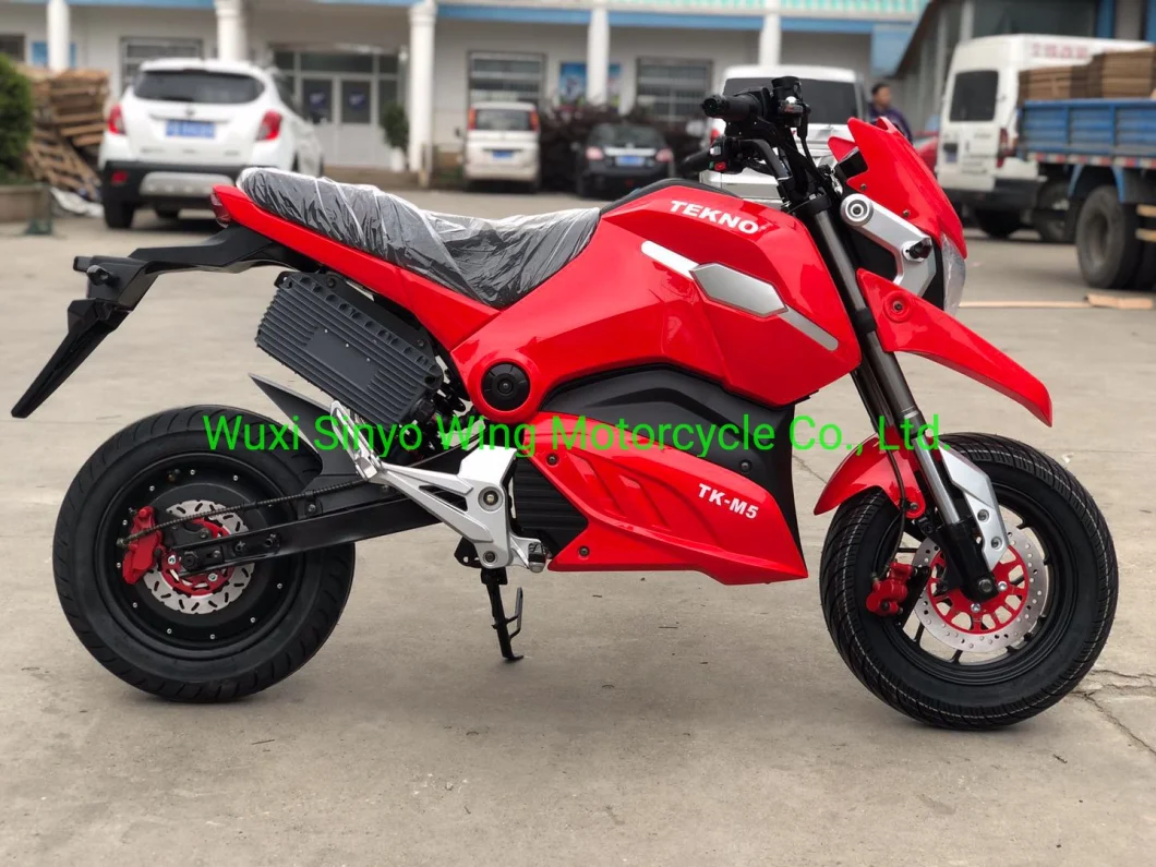 M5 Cheap 2500W E-Racing Motorcycle & Electric Racing Motorcycle Lithium Battery