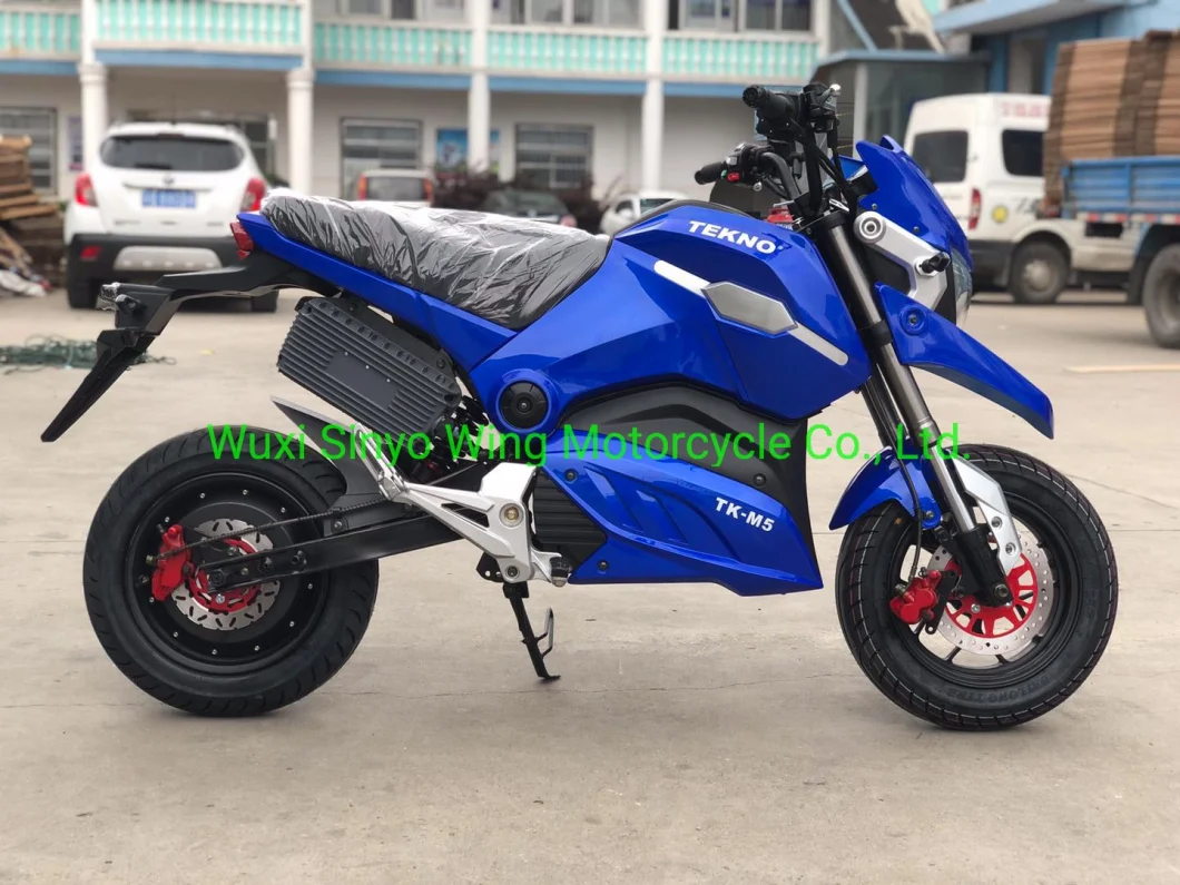 M5 Cheap 2500W E-Racing Motorcycle & Electric Racing Motorcycle Lithium Battery