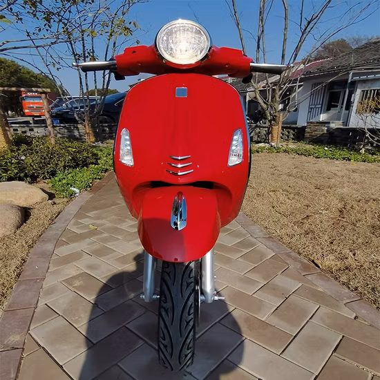 72V 2000W 전기 자전거 2 바퀴 더블 디스크 브레이크가 있는 전기 스쿠터 전기 레이싱 오토바이