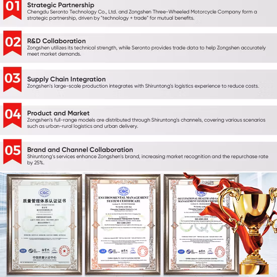 성인을 위한 중국 공장 전기 인력거 세발자전거