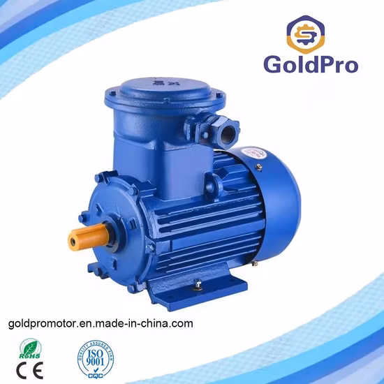 최고의 가격 인기 전기 스쿠터 나미 번 E2 Max 듀얼 모터